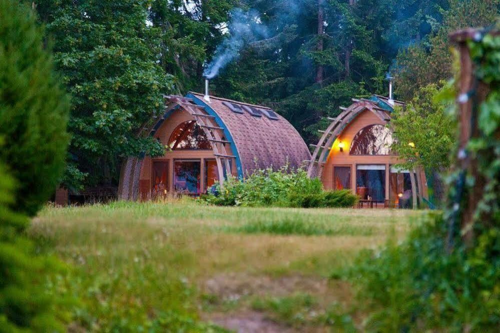 Mineral Springs Resort Fernwood 외부 사진